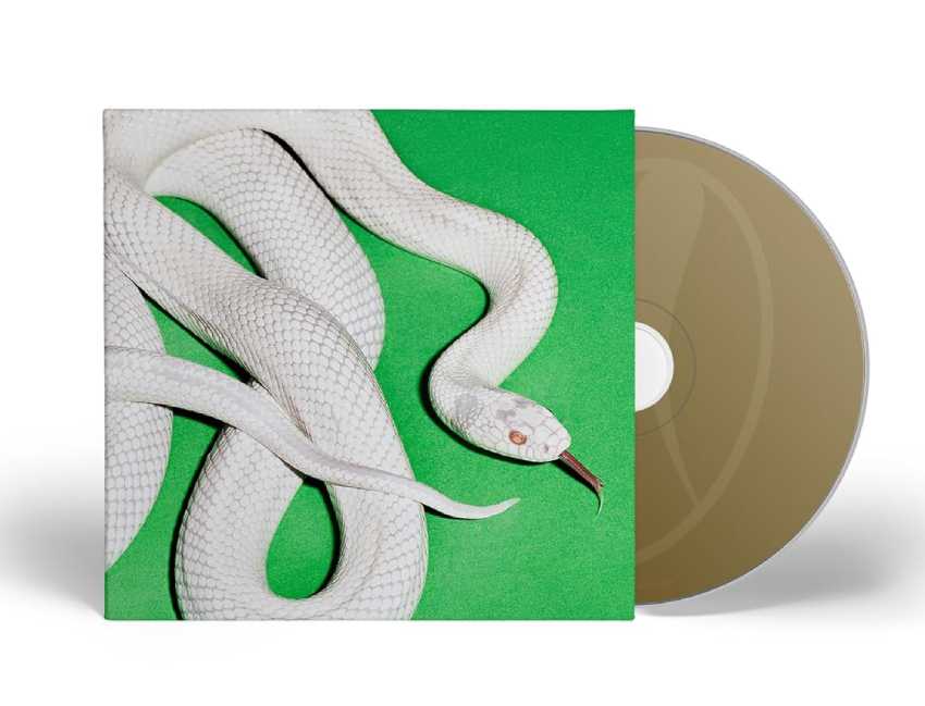 Deftones new record, private music, album cover