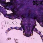 Promo photo for new song TICKS from band DEPRIVE