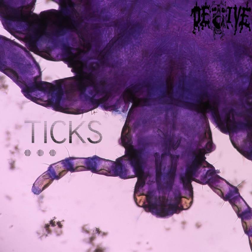 Promo photo for new song TICKS from band DEPRIVE