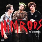 The cover for the sound track to Green Day's 'Nimrods' movie
